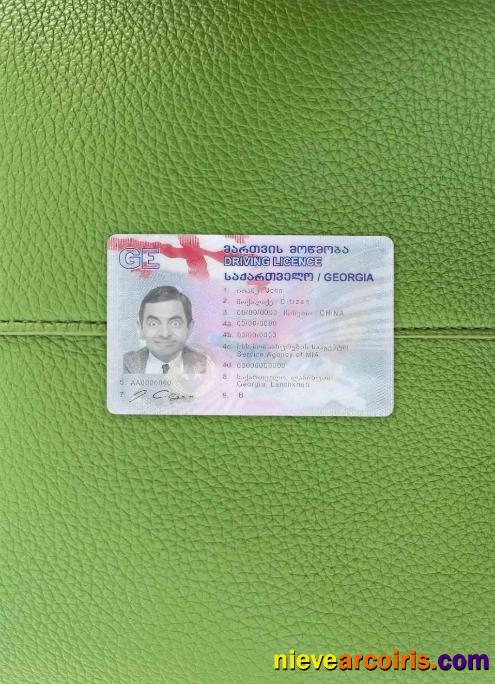 Georgia driving license photolook
